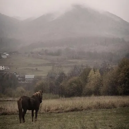 Prázdninový dům Cosy House *
